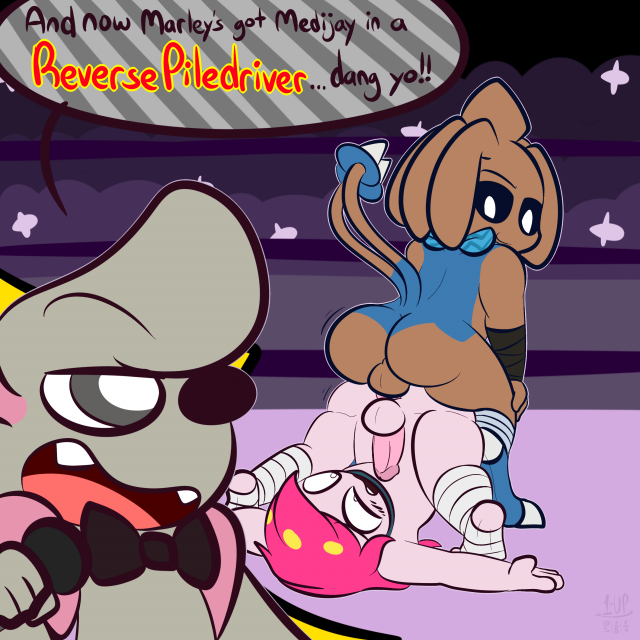 hitmontop+medicham+timburr